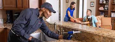 Best Termite Inspection and Treatment  in Canonsburg, PA