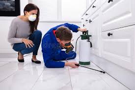 Real Estate Pest Inspections in Canonsburg, PA