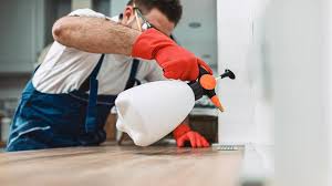 Best Real Estate Pest Inspections  in Canonsburg, PA